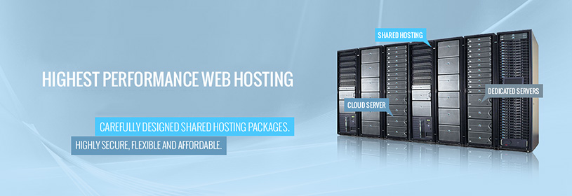 Linux web hosting service Provider in india